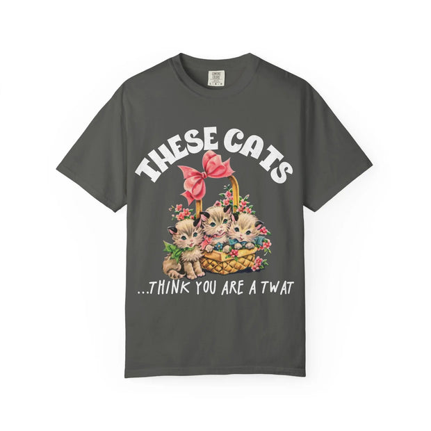 These Cats Think You Are a Twat Funny Comfort Colors Tee LavenderCeleste