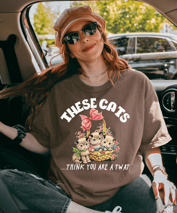 These Cats Think You Are a Twat Funny Comfort Colors Tee LavenderCeleste