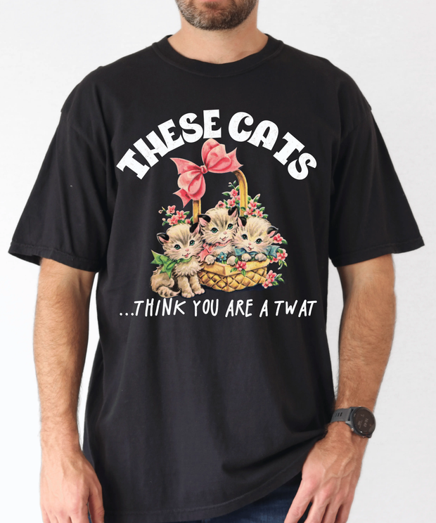 These Cats Think You Are a Twat Funny Comfort Colors Tee LavenderCeleste